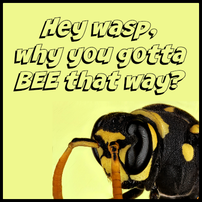 Honk If You’re Hornet—A Rant About Wasps