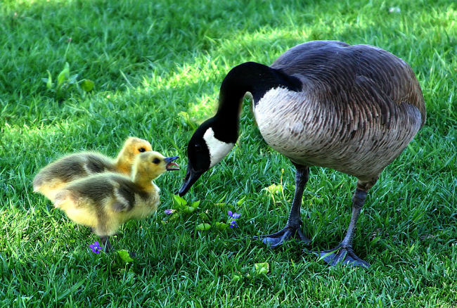 Why This Mama Bird Ain’t Happy About Back-To-School